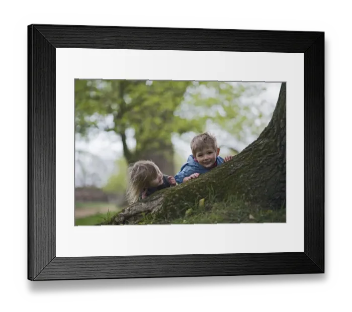 Framed Print : Children playingaround roots of old oak tree Norfolk April Framed Print : Children playingaround roots of old oak tree Norfolk April