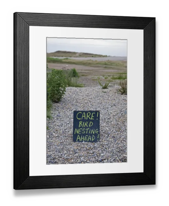 Framed Print : Sign warning people to take care due to nesting Avocet along path Salthouse Norfolk July Framed Print : Sign warning people to take care due to nesting Avocet along path Salthouse Norfolk July
