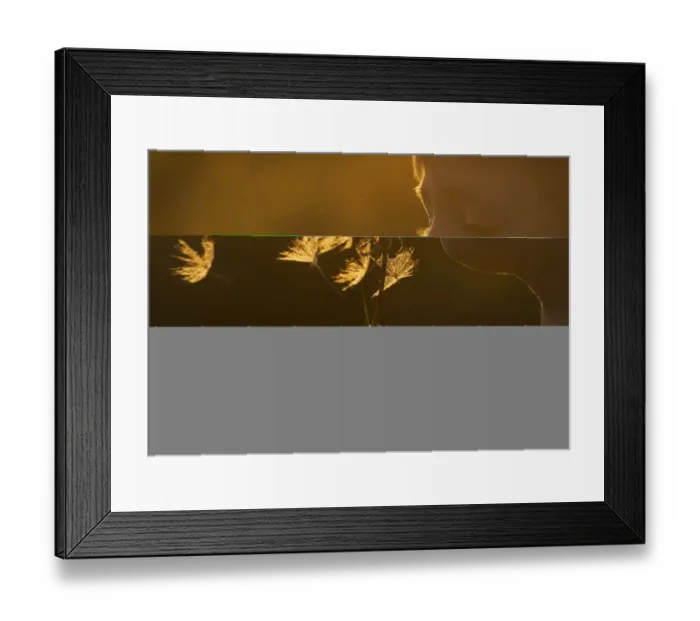 Framed Print : Young boy blowing seed head Norfolk May Framed Print : Young boy blowing seed head Norfolk May