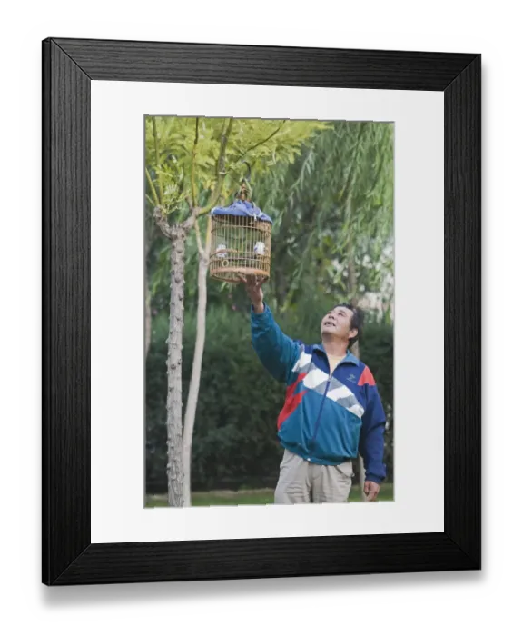 Framed Print : Bird keeper with Hwamei Leucodopteron canorum formerly Garrulax canorus in park Framed Print : Bird keeper with Hwamei Leucodopteron canorum formerly Garrulax canorus in park