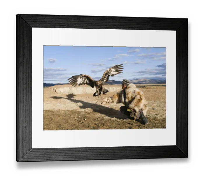 Framed Print : Dalai Han an Kazakh eagle hunter with his Golden Eagle Bayan-Ulgii in Altai Mountains Framed Print : Dalai Han an Kazakh eagle hunter with his Golden Eagle Bayan-Ulgii in Altai Mountains