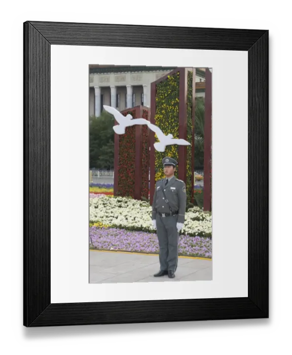 Framed Print : White Doves used in flower display as part of 2008 Beijing Olympics in Tianeman Square