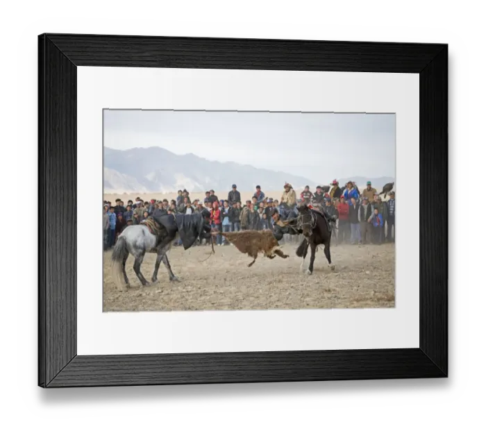 Framed Print : Kurbar tug of war with a goat skin at Eagle Hunters Festival Bayan Ulgi Western Mongolia Framed Print : Kurbar tug of war with a goat skin at Eagle Hunters Festival Bayan Ulgi Western Mongolia