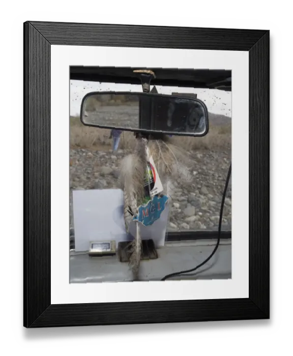 Framed Print : Eagle Owl Bubo bubo feathers hanging from rear view mirror these are a good luck Framed Print : Eagle Owl Bubo bubo feathers hanging from rear view mirror these are a good luck