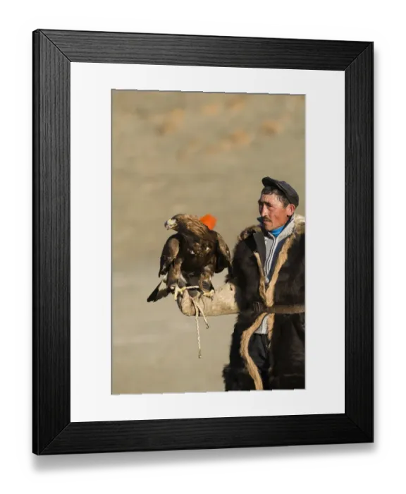 Framed Print : Kazakh eagle hunter with his Golden Eagle Uglii in Altai Mountains western Mongolia