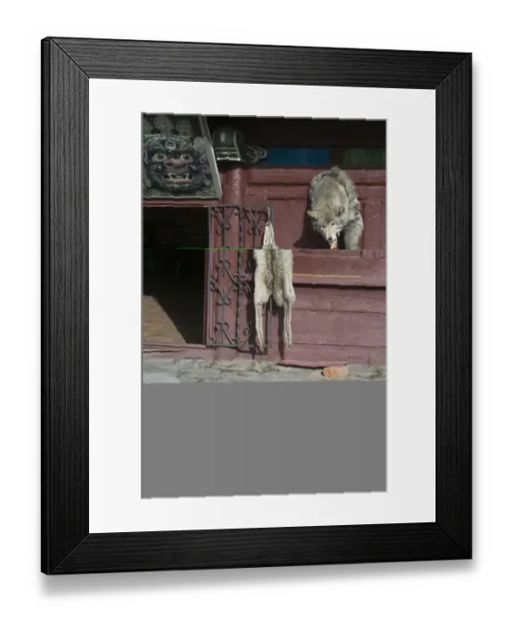 Framed Print : Wolf skins hang on a door Ulan Bator Mongolia Framed Print : Wolf skins hang on a door Ulan Bator Mongolia