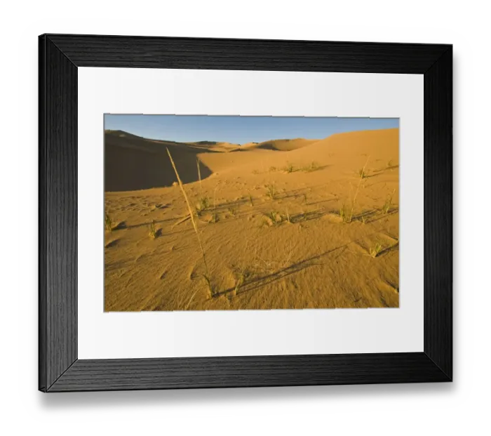 Framed Print : Khongoryn Els sand dunes in southern Gobi Desert Mongolia winter Framed Print : Khongoryn Els sand dunes in southern Gobi Desert Mongolia winter