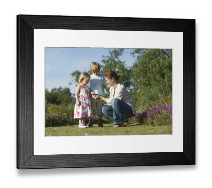Framed Print : Family out on heath exploring nature Norfolk summer Framed Print : Family out on heath exploring nature Norfolk summer