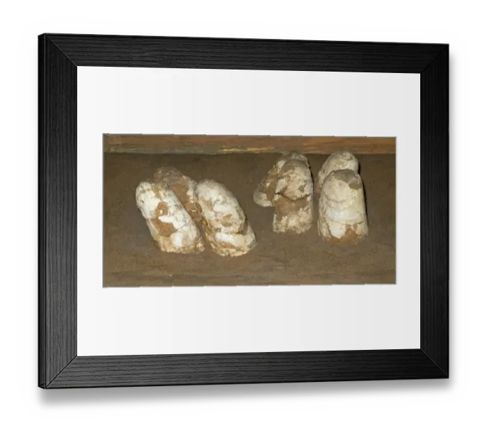 Framed Print : Fossilized Dinosaur nest with eggs found in 1977 at Gelbent in South Gobi Mongolia Framed Print : Fossilized Dinosaur nest with eggs found in 1977 at Gelbent in South Gobi Mongolia