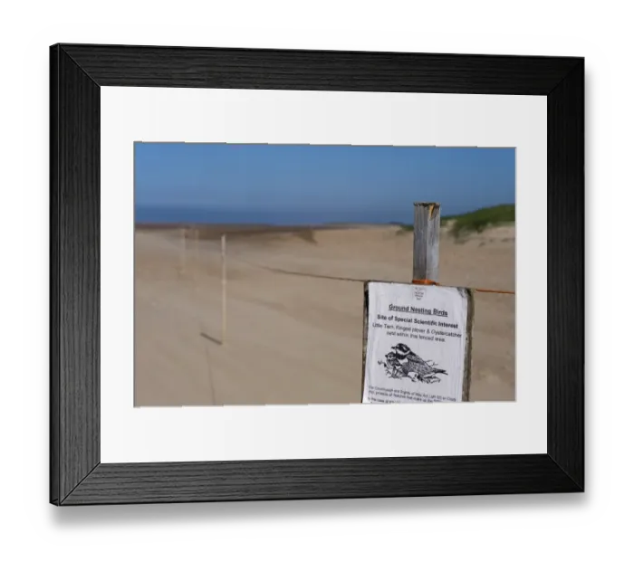 Framed Print : Sign on roped off area warning visitors to stay clear of nesting area on beach Framed Print : Sign on roped off area warning visitors to stay clear of nesting area on beach