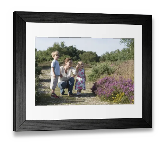Framed Print : Family out on heath exploring nature Norfolk summer Framed Print : Family out on heath exploring nature Norfolk summer