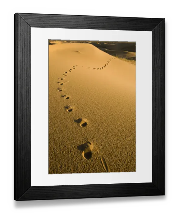 Framed Print : Khongoryn Els sand dunes in southern Gobi Desert Mongolia winter
