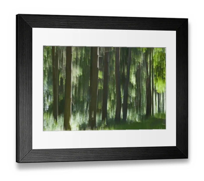 Framed Print : Forest abstract Blickling Norfolk May Framed Print : Forest abstract Blickling Norfolk May