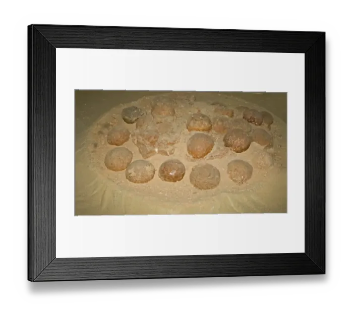 Framed Print : Fossilized Dinosaur nest with eggs found in 1994 at Algui Ulan tav in South Gobi Mongolia Framed Print : Fossilized Dinosaur nest with eggs found in 1994 at Algui Ulan tav in South Gobi Mongolia