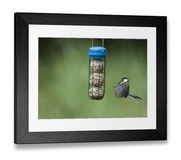 Framed Print : 005653 Framed Print : 005653