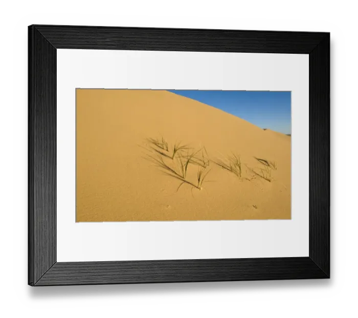 Framed Print : Khongoryn Els sand dunes in southern Gobi Desert Mongolia winter Framed Print : Khongoryn Els sand dunes in southern Gobi Desert Mongolia winter