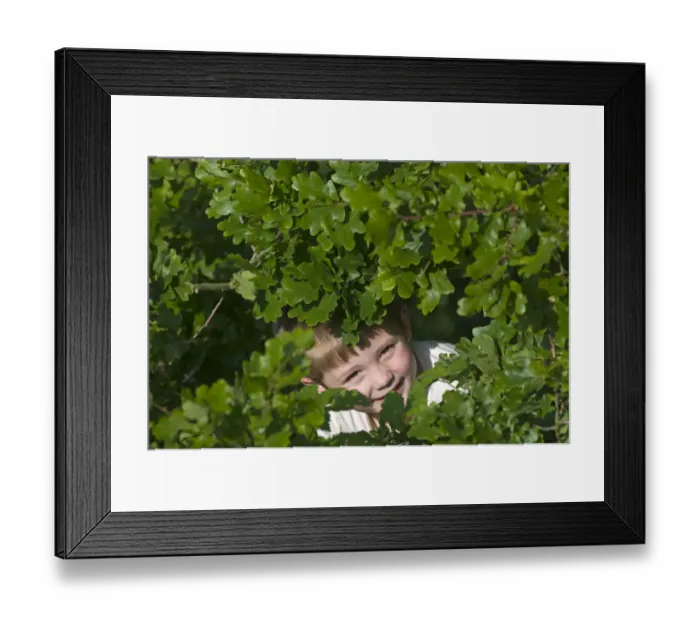 Framed Print : Young boy peeping through leaves Norfolk May Framed Print : Young boy peeping through leaves Norfolk May