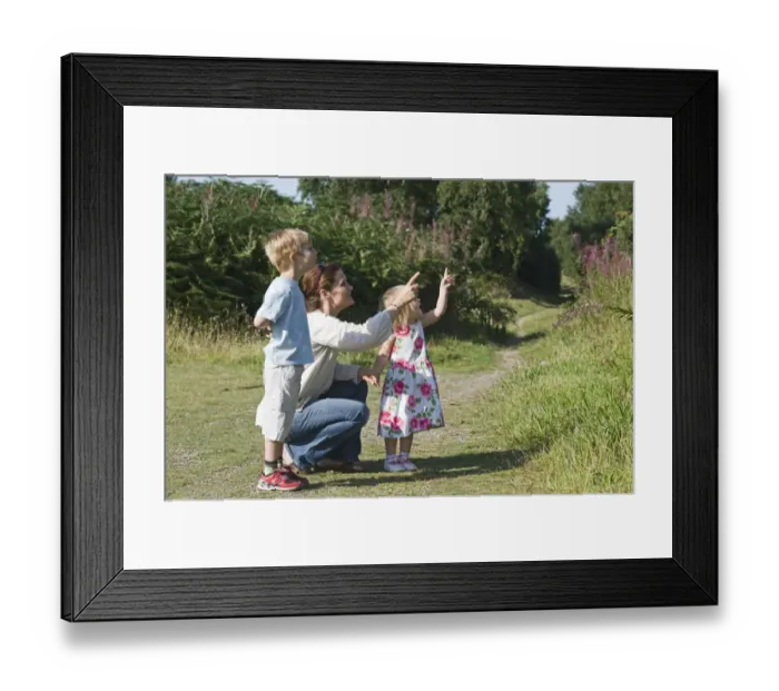 Framed Print : Family out on heath exploring nature Norfolk summer Framed Print : Family out on heath exploring nature Norfolk summer