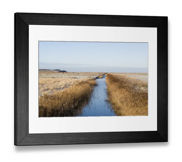 Framed Print : Reed fringed ditch Salthouse Norfolk Framed Print : Reed fringed ditch Salthouse Norfolk