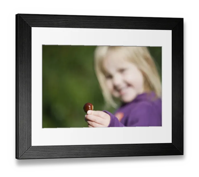 Framed Print : Young girl holding Sweet Chestnut in autumn Norfolk UK Framed Print : Young girl holding Sweet Chestnut in autumn Norfolk UK