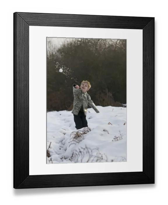 Framed Print : Young boy throws a snowball Kelling Norfolk December Framed Print : Young boy throws a snowball Kelling Norfolk December