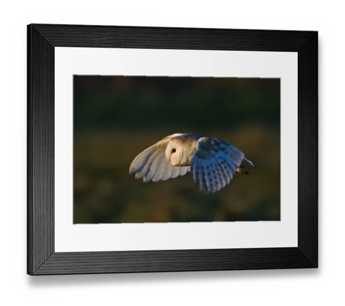 Framed Print : 005865 Framed Print : 005865