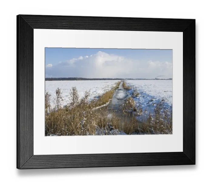 Framed Print : Frozen dyke running across Buckenham Marshes RSPB Reserve in Yare Valley Norfolk winter Framed Print : Frozen dyke running across Buckenham Marshes RSPB Reserve in Yare Valley Norfolk winter