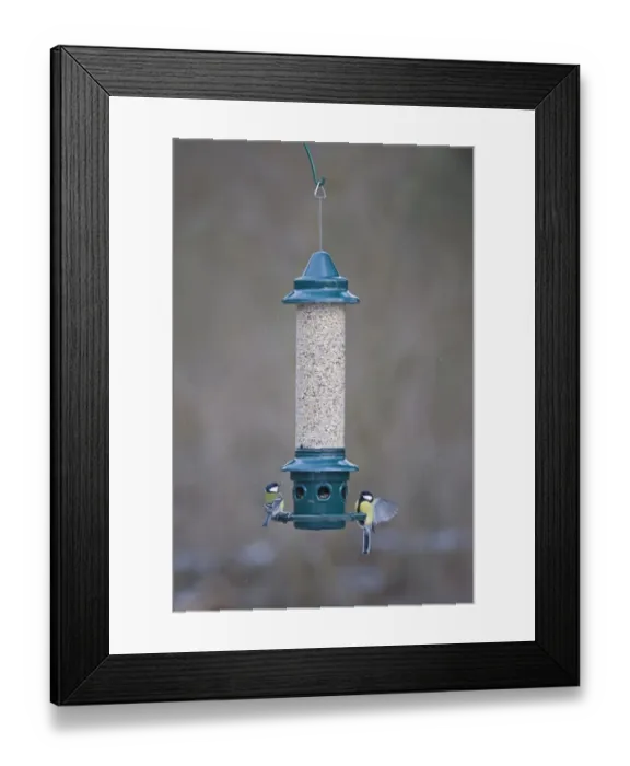 Framed Print : 005867 Framed Print : 005867