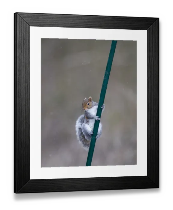 Framed Print : 005870 Framed Print : 005870