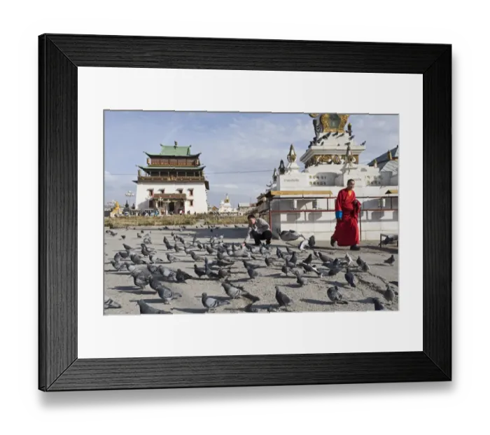Framed Print : Feeding Feral Pigeons in front of Gandan Manastery in Ulan Bator Mongolia September Framed Print : Feeding Feral Pigeons in front of Gandan Manastery in Ulan Bator Mongolia September