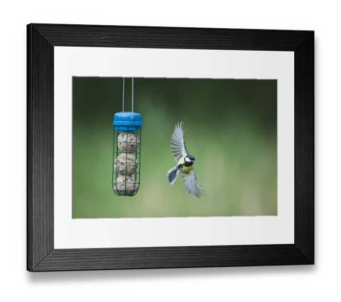 Framed Print : 005988 Framed Print : 005988