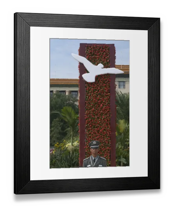Framed Print : White Doves used in flower display as part of 2008 Beijing Olympics in Tianeman Square