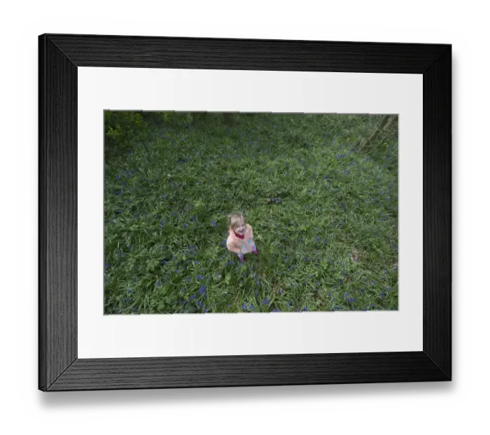 Framed Print : Young girl playing in Bluebell Wood Norfolk May Framed Print : Young girl playing in Bluebell Wood Norfolk May