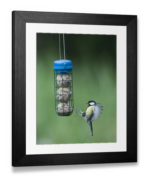Framed Print : 005987 Framed Print : 005987