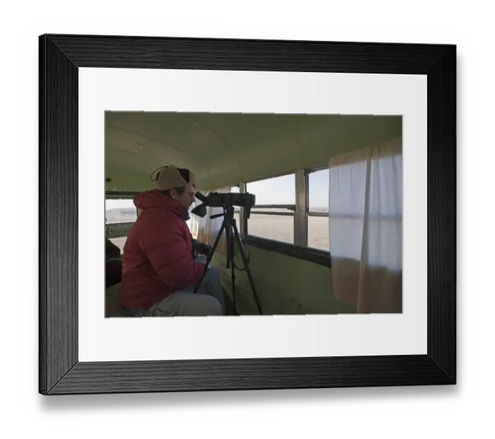 Framed Print : Mark Cocker watching lekking Sharp-tailed Grouse in the Sandhills Nebraska USA April 2008 Framed Print : Mark Cocker watching lekking Sharp-tailed Grouse in the Sandhills Nebraska USA April 2008
