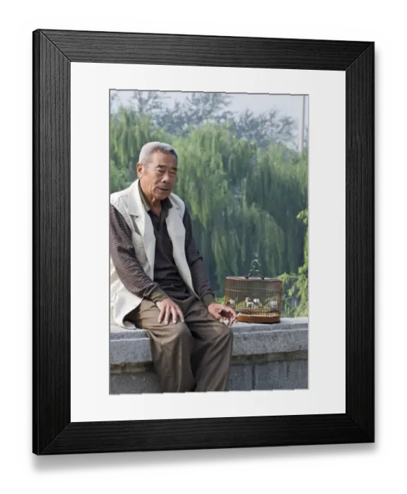 Framed Print : Bird keeper in Beijing China with Marsh Tit in cage Framed Print : Bird keeper in Beijing China with Marsh Tit in cage