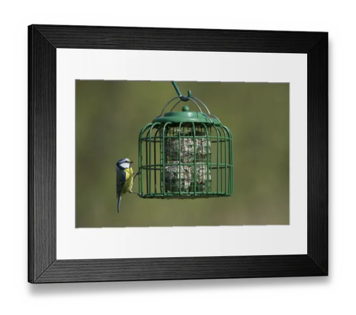 Framed Print : 006013 Framed Print : 006013