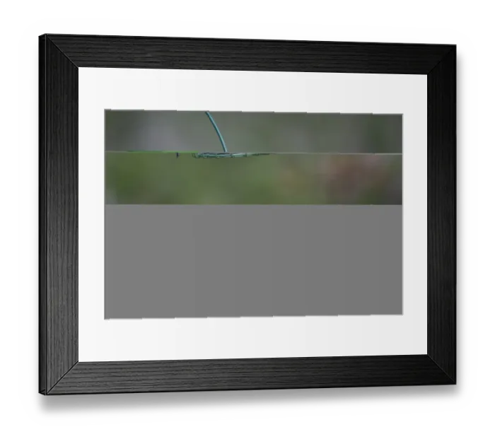 Framed Print : 006014 Framed Print : 006014