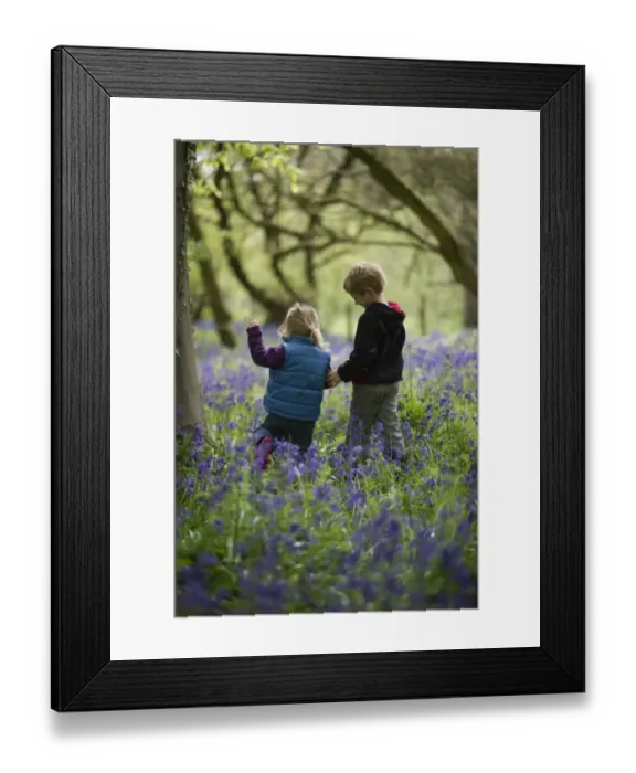 Framed Print : Young children playing in Bluebell Wood Norfolk May Framed Print : Young children playing in Bluebell Wood Norfolk May