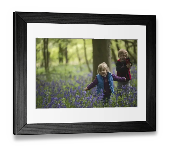 Framed Print : Young children playing in Bluebell Wood Norfolk May Framed Print : Young children playing in Bluebell Wood Norfolk May
