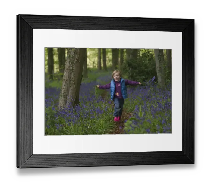 Framed Print : young girl playing in Bluebell wood Norfolk spring Framed Print : young girl playing in Bluebell wood Norfolk spring