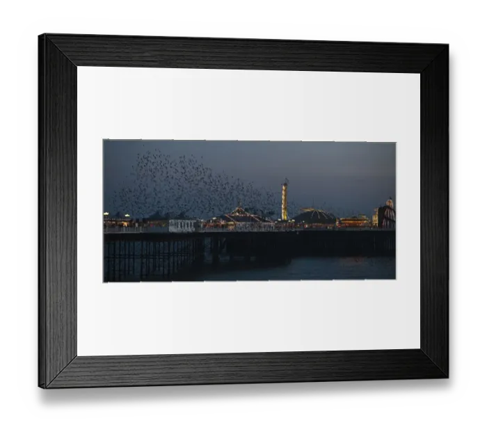 Framed Print : Starlings Sturnus vulgarus arriving to roost at Palace Pier Brighton winter