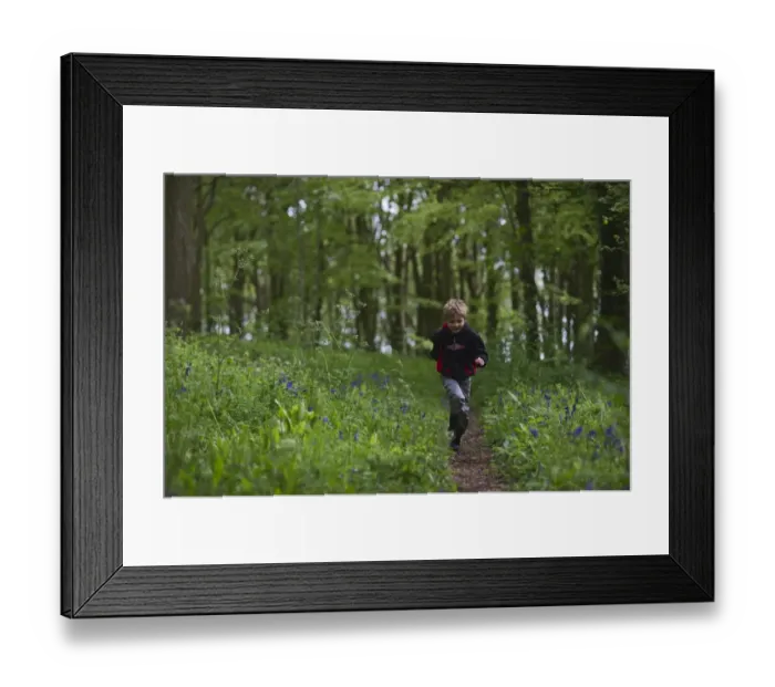 Framed Print : Young boy running through Bluebell Wood Norfolk May Framed Print : Young boy running through Bluebell Wood Norfolk May