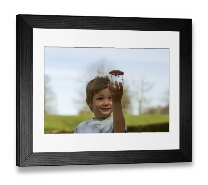 Framed Print : Young boy with ladybirds in a bug box Norfolk spring Framed Print : Young boy with ladybirds in a bug box Norfolk spring