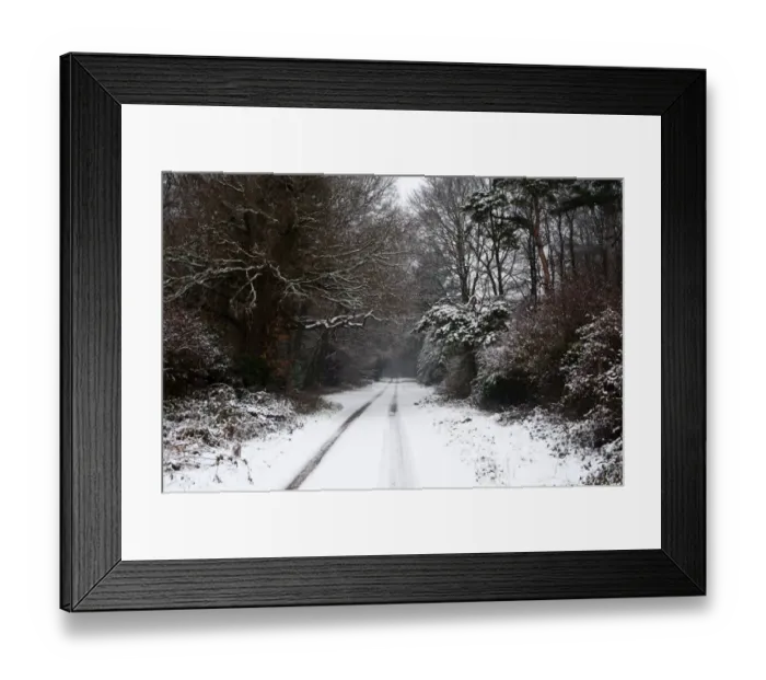 Framed Print : Lane covered in snow on Holkham Estate North Norfolk winter Framed Print : Lane covered in snow on Holkham Estate North Norfolk winter