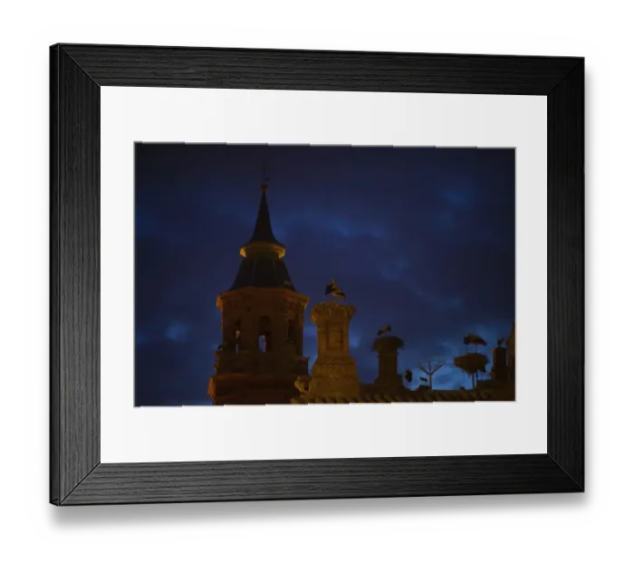 Framed Print : White Storks roosting at their nests on church in Alfaro Spain spring Framed Print : White Storks roosting at their nests on church in Alfaro Spain spring