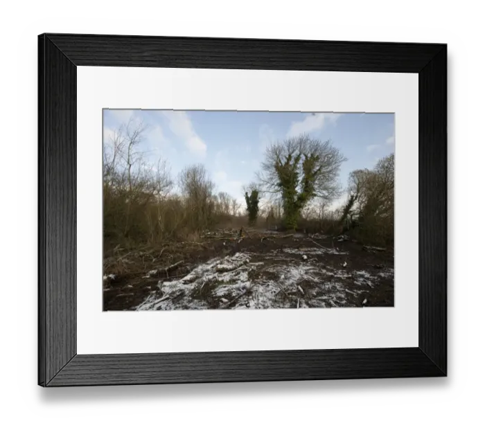 Framed Print : Ferry Wood scrub clearance on riverbank during 09 / 10 winter Framed Print : Ferry Wood scrub clearance on riverbank during 09 / 10 winter