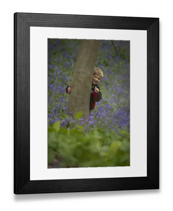 Framed Print : Young boy peeping around tree Norfolk May Framed Print : Young boy peeping around tree Norfolk May