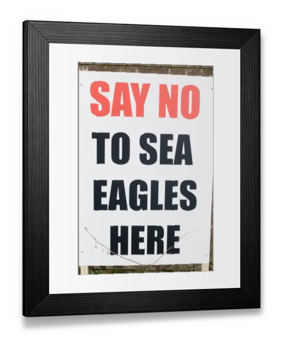 Framed Print : Anti Sea Eagle reintroduction scheme sign at Holkham North Norfolk Feb 2010 Framed Print : Anti Sea Eagle reintroduction scheme sign at Holkham North Norfolk Feb 2010
