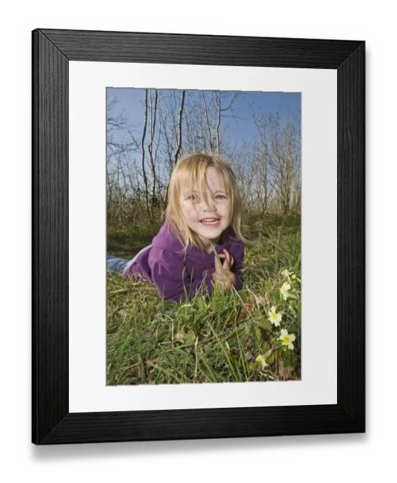 Framed Print : Young girl looking at primroses in woodland in spring Norfolk UK Framed Print : Young girl looking at primroses in woodland in spring Norfolk UK